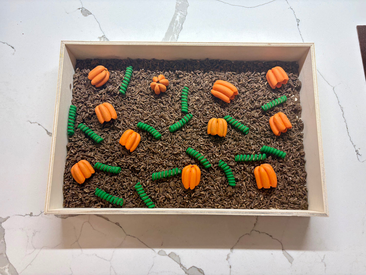 Pumpkin Patch