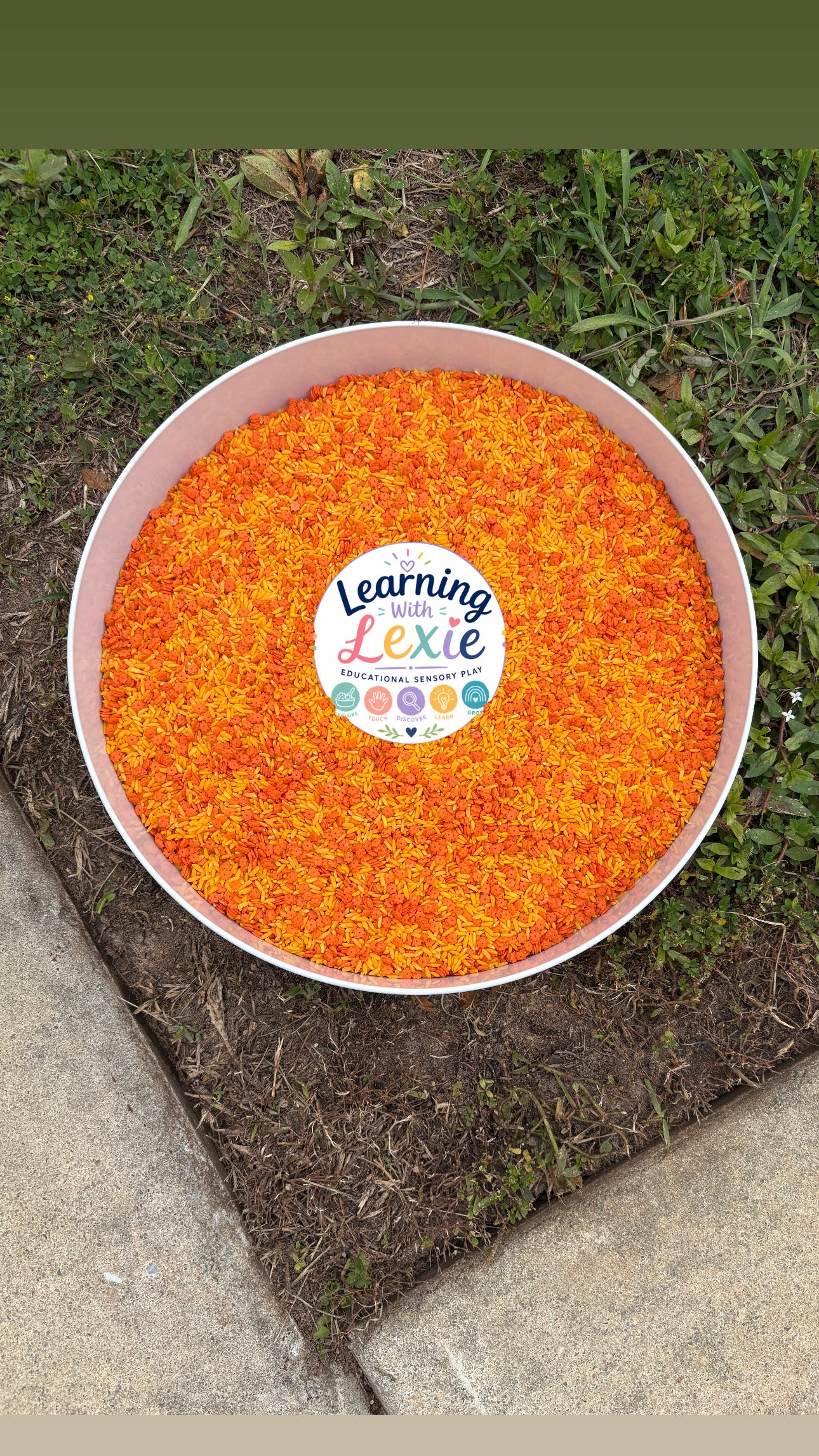 Citrus Splash