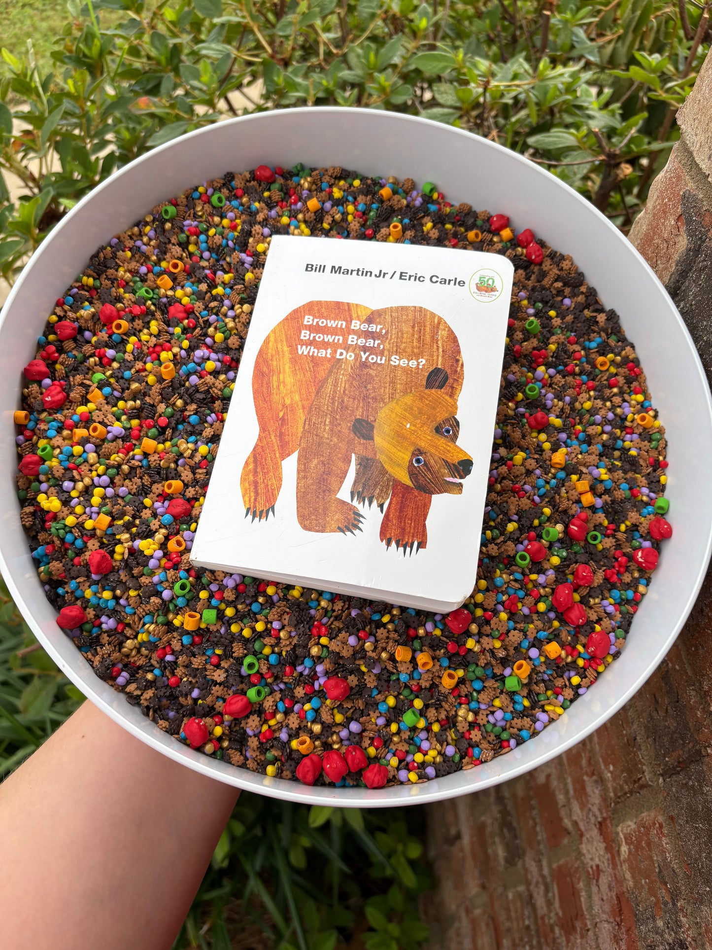Brown Bear inspired