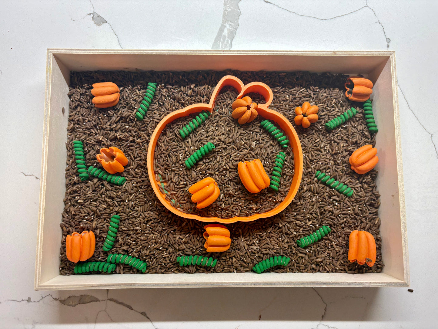 Pumpkin Patch